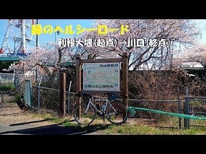 ｻｲｸﾘﾝｸﾞ満開のヘルシーロードを走る（利根大堰→川口：走行日30.3.30 54km)