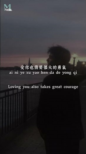 Qing Fei De Yi (情非得已) R&B Lyrics #歌曲歌词 #lyrics #music #douyin #song #rnb #情非得已