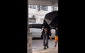 刘宇宁240706书卷一梦上班 剃毛的呆米像个小和尚～