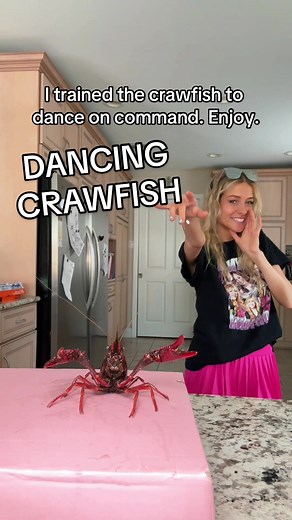 Dancing Crawfish - A Joyful 4th of July Celebration with a Talented Crustacean