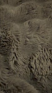 2.6K views · 37 reactions | Finances this week for the mutable signs Gemini Virgo力 SagittariusPisces Sun☀️ Moon Rising Venus | My's Tarot | Facebook