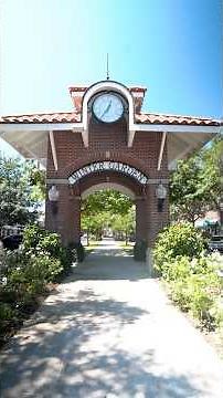 Amazing Restaurants in Winter Garden 🌟