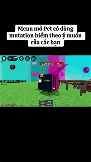 Hướng dẫn mở Pet với dòng Mutation siêu hiếm
