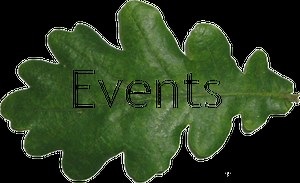 Market Square Then and Now