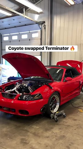 For Mustang fans, the 2003/2004 SVT Cobra [Terminator] was the pinnacle of Mustang performance. It’s hard to imagine how ridiculously powerful the Coyote is in comparison! Just add boost! #precisionturbo 🤙🏽@jpcracing Getting Absolutely Rowdy On The Dyno Today With This Fire Breathing Beast😎🇺🇸 ••#turbocoyote #jpcracing #eazydoesit #dynotune #coyotemustang #coyoteswap #cobramustang #mustangsofinstagram #boostedlife #whosnext⁉️ | Precision Turbo & Engine