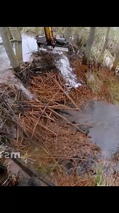 994K views · 7.4K reactions | Beaver Dam Removal With Excavator Cabin V | Beaver Dam Removal | Facebook