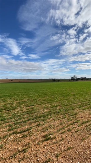 503K views · 706 reactions | Will you take on the Oceans to Outback...