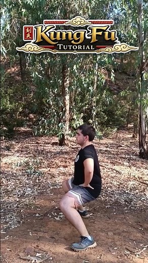 HORSE STANCE TUTORIAL - KUNG FU