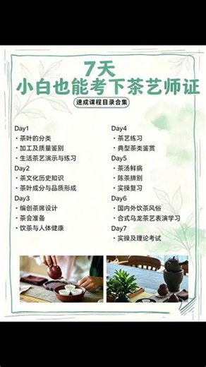 小白7天拿下茶艺师证｜完整课程表分享！ 超多学员课堂实拍，真实学习日常无滤镜📸 ✅7天分阶段系统教学理论知识、茶叶品鉴、茶席设计、茶艺实操全覆盖✅手把手实操教学，新手友好✅短期集训，快速备考拿证✅人社可查证书，就业副业双加持 闲暇时间学一门雅致国风技能，修身养性还能多一条收入渠道喜欢喝茶、向往茶文化的姐妹千万不要错过～#茶艺师考证 #茶艺师证报考指南 #茶艺师考试 #茶艺考证