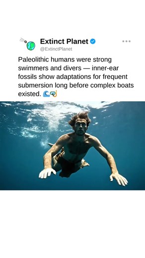 Paleolithic humans were expert swimmers and divers! 🌊🤿 #prehistoriclife #diving