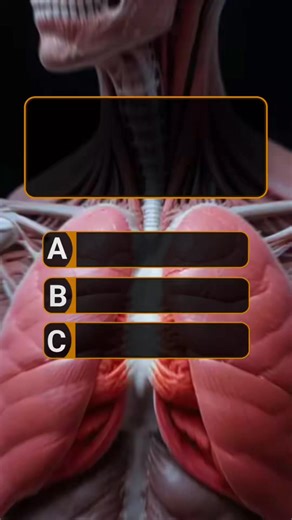3.4K views · 154 reactions | Human Body Trivia易 / Can You Get 8/8? #quiz #quizzes #Trivia #biology #quiztime #science #quizchalllenge @followers | Brain Test | Facebook