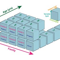 Video: Databases to Efficiently Manage Medium Sized, Low Velocity, Multidimensional Data in Tissue Engineering