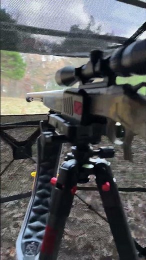 Tennessee muzzleloader hunt 🦌