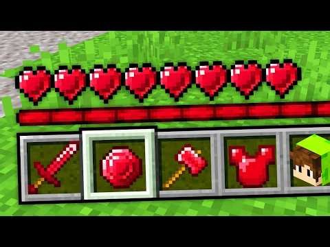 EVERYTHING is MADE of RUBIES in Minecraft!