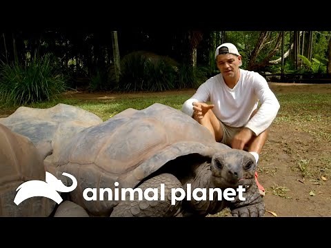 Frank visita importantes santuarios animales por el mundo | Wild Frank | Animal Planet