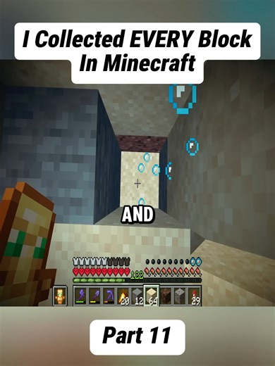 Collecting Every Block in Minecraft: A Complete Guide