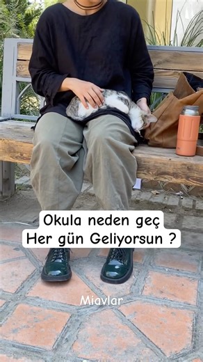 Kim böyle ? 🥹😍 #turkishcat #catsoftürkiye #cute #kedi #cat