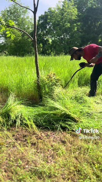 Seamless Tree Trimming with a Sharp Scythe