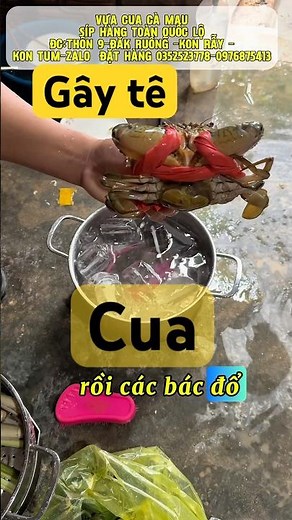 🦀🦐 How to Clean Sea Crabs and Tiger Prawns Before Steaming | Chef's Secrets 2026
