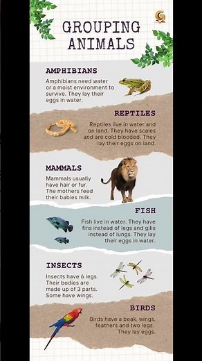 Grouping Animals | Learn Animal Groups for Kids | #shorts