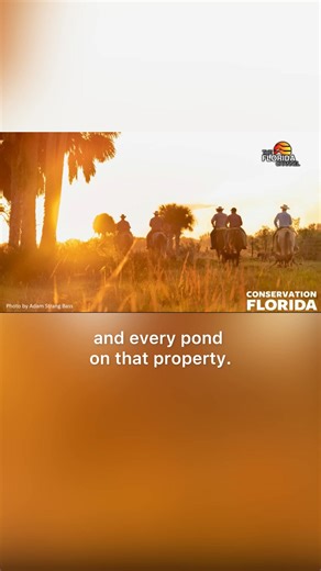 6.2K views · 241 reactions | It’s our honor to champion land...