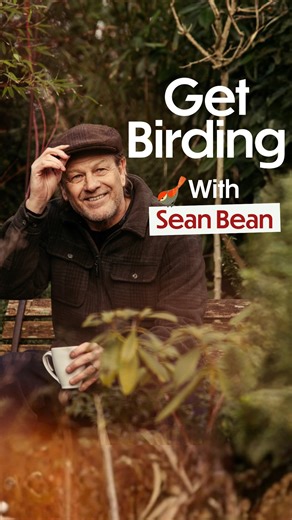 Get Birding on Instagram: "#GetBirding is back for a brand new season — hosted every two weeks by acclaimed actor and longtime birder @sean_bean_official 🎙️ In his opening episode, Sean grabs his binoculars and invites listeners to slow down, look up, and join the UK’s biggest citizen science event, the annual @rspb Big Garden Birdwatch 🌳 Sean’s special guests include @elbowofficial frontman Guy Garvey and @doctoramirkhan , plus we hear from friends of the podcast @birdgirluk and @citygirlinna