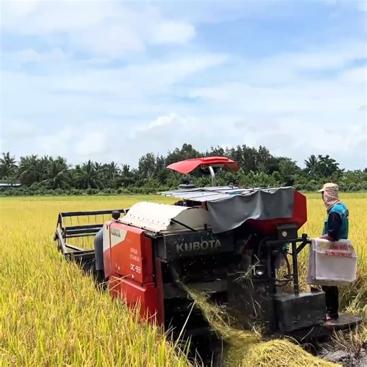 The kubota DC93 rice cutter, DC70 | Daily Post
