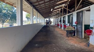 Red Hot Mama '24 in Florida