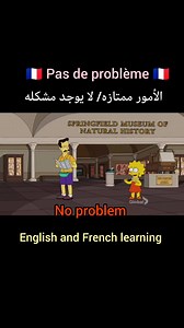 Pas de problème = pas de soucis... | English and French Learning