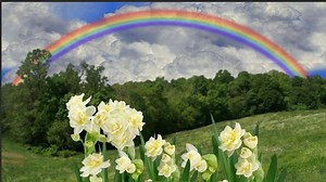 Spring - How's It's Changed And How It Could Go This Year