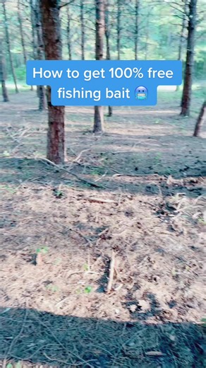 How to Get Free Live Bait for Fishing