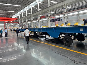 [Hot Item] Heavy Duty Type Container Loading Machine for The Factories