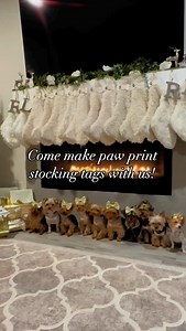 3.1K views · 143 reactions | Come make personalized paw print stocking tags with us! ✨ #christmas #christmastree #setup #stocking #create #christmastreesetup #holiday #holidays #holidayseason #santa #elf #winter #flockedtree #gold #yorkie #yorkies #yorkshireterrier #terrier #dog #dogs #pup #puppy #puppies #traditionalyorkie #chocolateyorkie #instagood #viral #trending #instagood | The Utah Yorkies | Facebook
