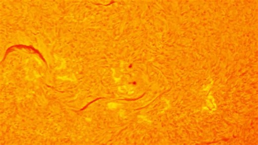 Solar Activity Report: October 20-26, 2025 ☀️ Solar activity declined from moderate to low levels over the past week. Only one M-class flare (M1.1) occurred early in the week. There were several C-class flares from multiple active regions throughout the week. Notably, Region 14262 produced two long-duration C-class flares (C4.7 and C2.7) on October 22. The most intense activity originated from the far hemisphere, where Region 14246 generated two coronal mass ejections (CMEs) on October 21. This 