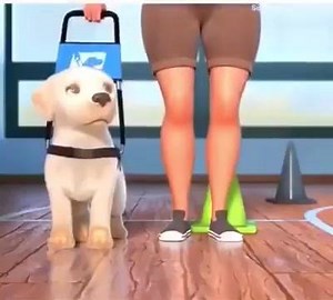 1.3M views · 8.1K reactions | Tome 4 minutos para assistir esse vídeo... Lindo! ❤ Crédito: Southeastern Guide Dogs | Pêlo Feliz | Facebook