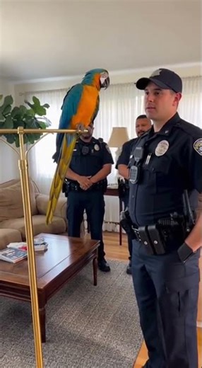 Cop Thought He Was in Charge… Parrot Proved Him Wrong 😂