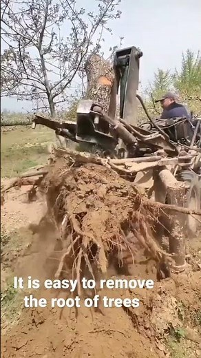 easy to remove roots of trees