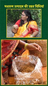 4.4K views · 50 reactions | मशरूम उत्पादन में अपनाएं उन्नत विधियां और बढ़ाएं व्यवसाय | Mushroom Farming Methods | #Kisanofindia #mushroomfarming #mushrooms #organicmushrooms #agriculture #MushroomProduction #MushroomCultivation #FarmingInnovation #MushroomBusiness #AgricultureGrowth | Kisan Of India | Facebook