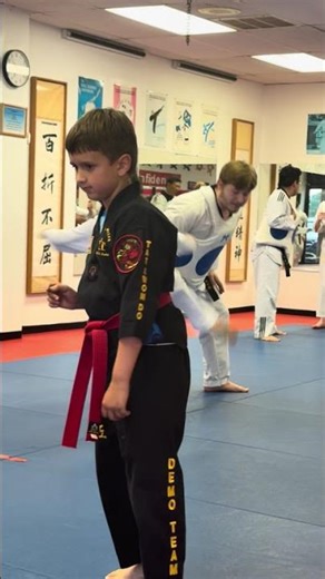 Taekwondo target kick lesson