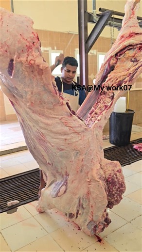 Amazing Butcher Skills: Halving a Giant American Bull! 🐂🔪😱#shortsfeed #cuttingskills #video