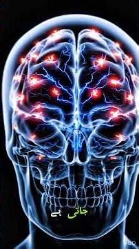 Alcohol vs Your Body: A 3D Medical Breakdown #humanbody #facts #science #healthydiet #education