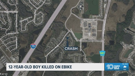 12-year-old boy killed riding electric skateboard in Pasco County