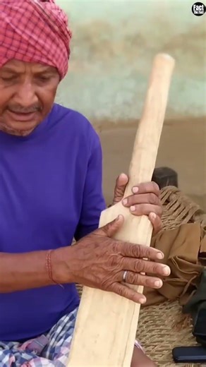 Why is handle cricket bat made separately 😰 | @FactsMine | #shorts