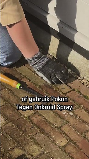 Weg met onkruid tussen je tegels!