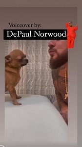 U making me blush 🤣🤣🤣🤣🤣🤣🤣 #laughs #funny #jokes #fyp #hilarious | DePaul Norwood