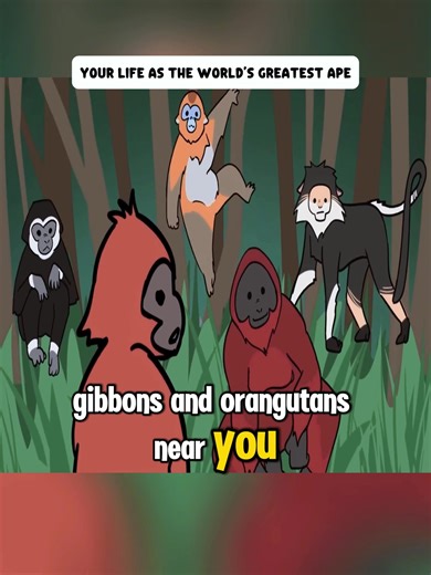 Ape Evolution Explained: Fun Facts and Insights