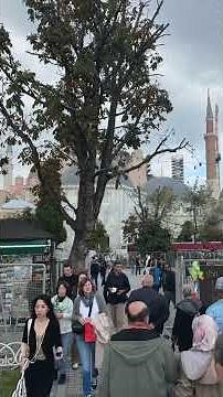 【世界遺産】キリスト教とイスラムが交差する世界遺産｜アヤソフィア外観散策 4K｜Hagia Sophia Istanbul History Walk｜Turkey Travel