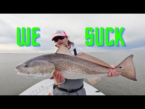 I Have No Idea What I'm Doing