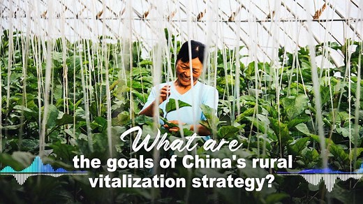 The modernization of agriculture and rural areas is the general goal of the rural vitalization strategy; prioritizing the development of agriculture and rural areas is the general policy. Click the video for more↓ This is one episode in CGTN's special series, "How China Works," to discover China's governance philosophy. #CPC100 #HowChinaWorks | CGTN