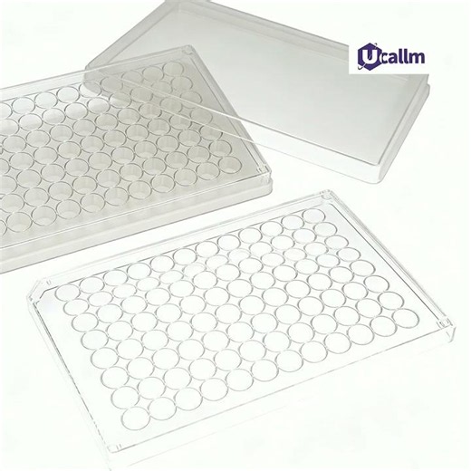 Which Laminin Isoform Should I Use for Stem Cells?